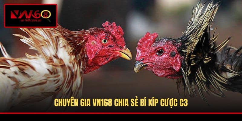 Chuyên gia VN168 chia sẻ bí kíp cược C3